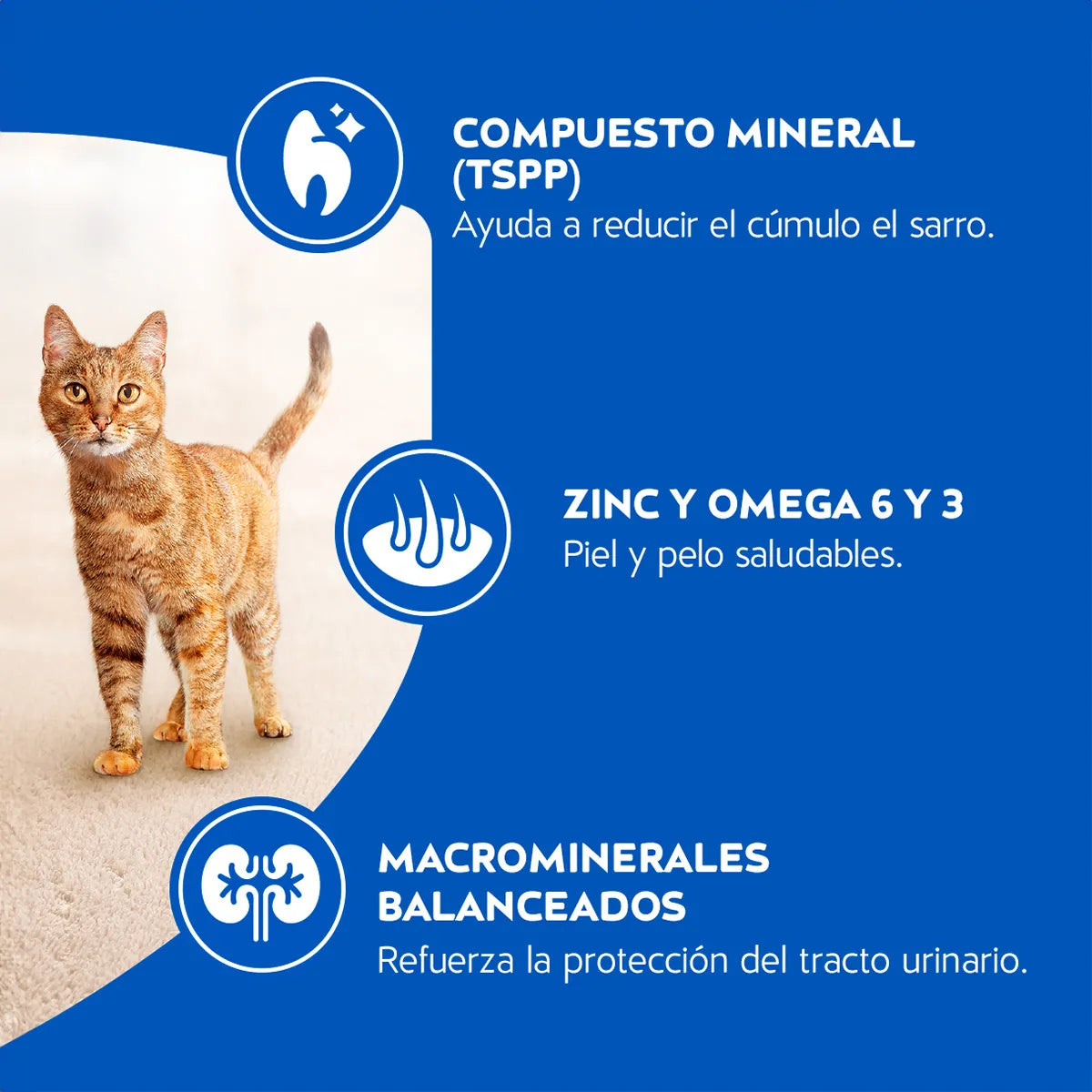 Cat Chow Gatos Adultos Carne