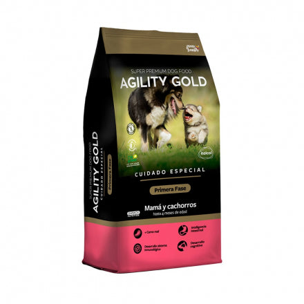 Agility Gold Cachorros Primera Fase