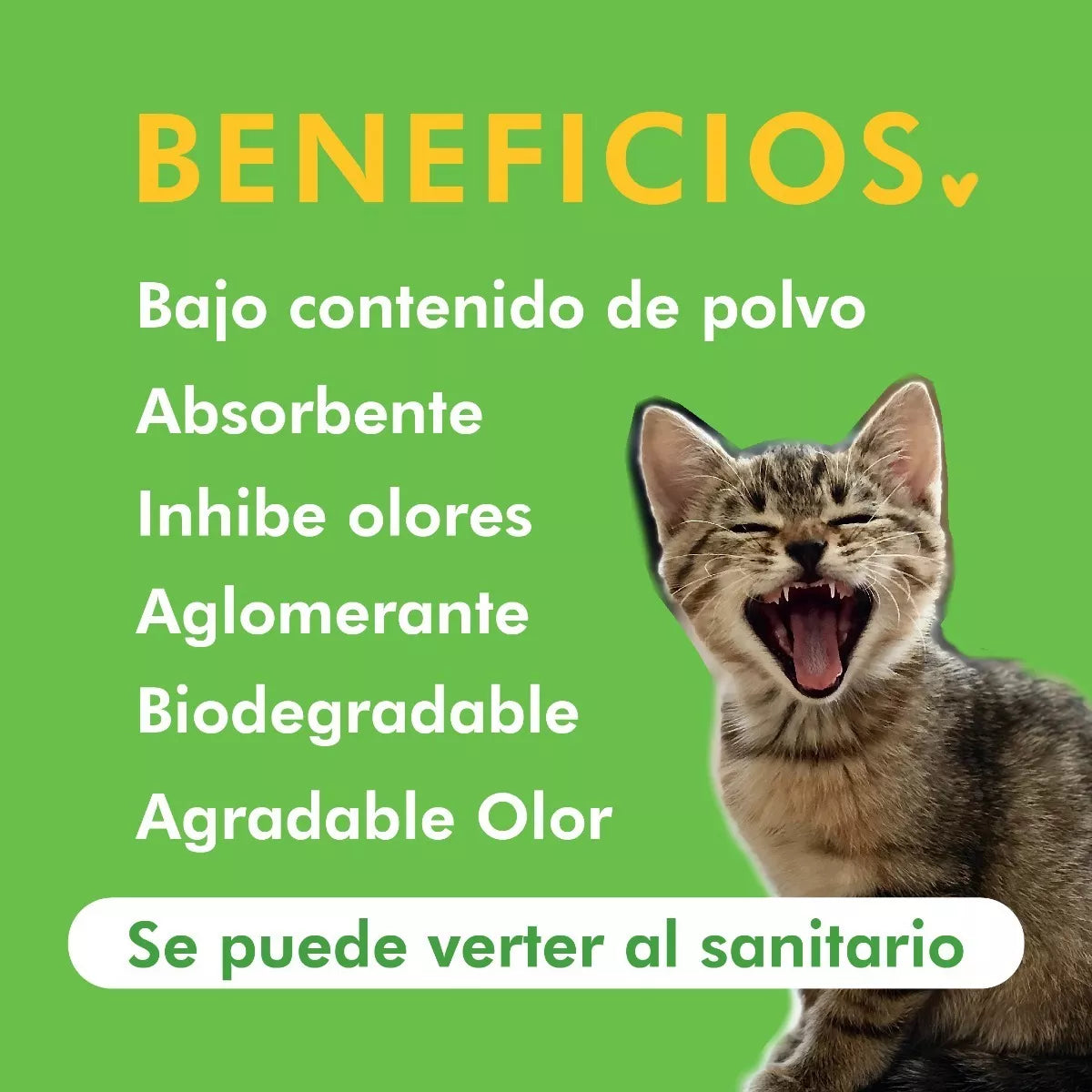 Arena Maiz Cat