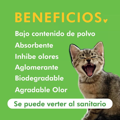 Arena Maiz Cat